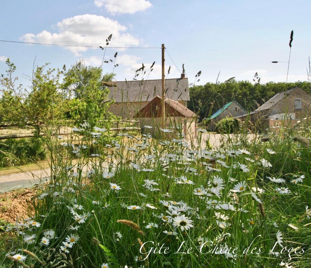 Gite Familial Pour 6 Pers En Campagne Bouere Extérieur photo